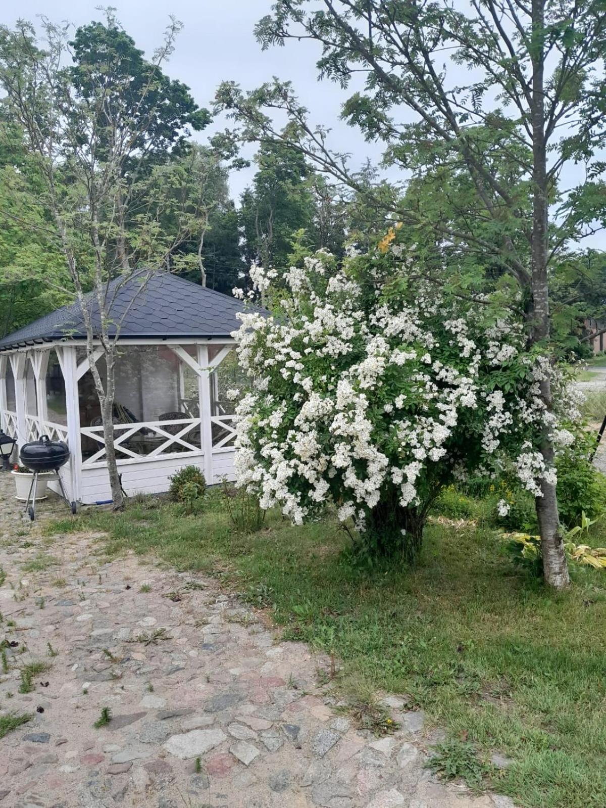 Dom Nad Morzem Ludwikowo Villa Skrzeszewo  Eksteriør billede